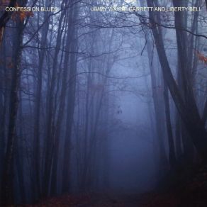 Download track It's A Long Way Down The Mississippi Jimmy Wayne Garrett