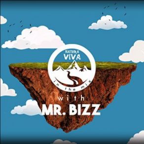 Download track Fun-Key Mr. Bizz