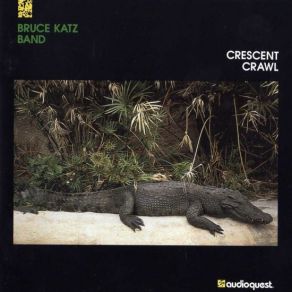 Download track Just An Expression The Bruce Katz Band