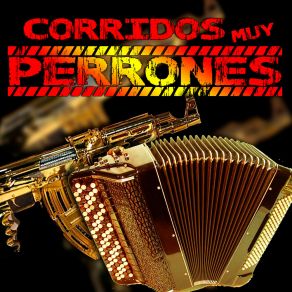 Download track Chito Cano Los Norteños Del Bajío