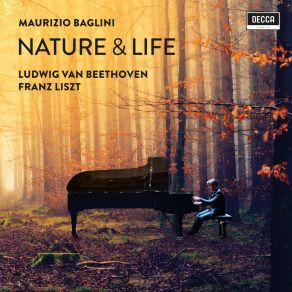 Download track 11. III. Lustiges Zusammensein Der Landleute. Allegro Maurizio Baglini