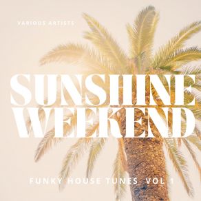 Download track The Weekend (Sanny X And Funky Spacer Remix) Sanny, Funky Spacer, Fallow