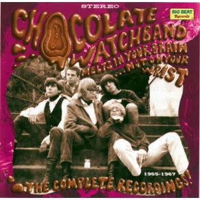 Download track I'M Not Like Everybody Else The Chocolate Watchband