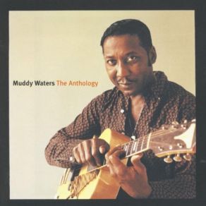 Download track Rollin' And Tumblin', Part One Muddy Waters
