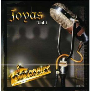 Download track Acepta Mi Error Los Temerarios