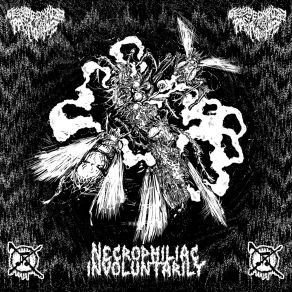 Download track Rainbow Of Pain Decomposition