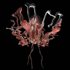 Download track Turing Machine The Dixon