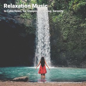 Download track Wellness Music To Sleep By Relaxing Music