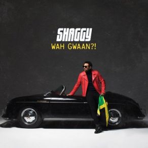 Download track When She Loves Me Shaggy