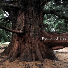 Download track I'm Going Back To My Used To Be Bessie Smith