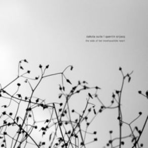 Download track Becoming Less And Less Dakota Suite, Quentin Sirjacq