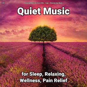 Download track Healing Music To Help Fall Asleep Relaxing Spa Music