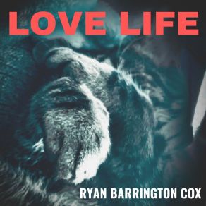 Download track Sounds Like A Bomb Ryan Barrington Cox