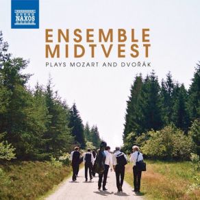 Download track Serenade In D Minor, Op. 44, B. 77 (Arr. F. Hertl): IV. Finale. Allegro Molto Ensemble MidtVest
