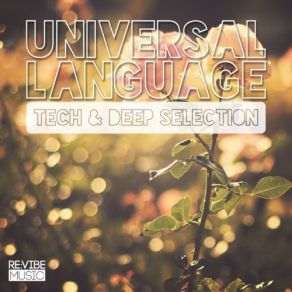 Download track Stranger Universal LanguageMax Vertigo, Nopopstar