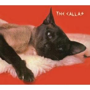 Download track CARAVAGGIO WAS A PUNK ROCKER Maria Callas