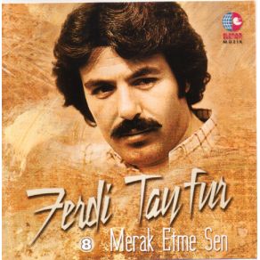 Download track Alıştım Ferdi Tayfur