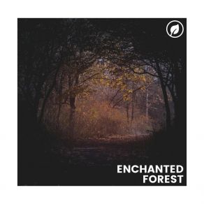 Download track Streams Flow Continually Organic Nature Sounds