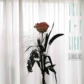 Download track Fright Veil Of Light