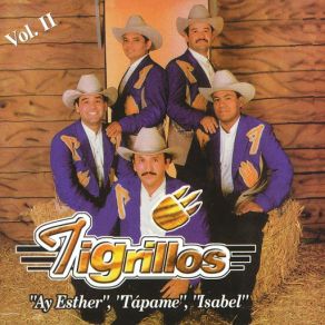 Download track Isabel Los Tigrillos