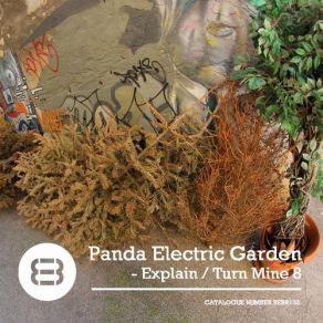 Download track Explain Panda Electric Garden