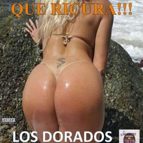 Download track Estoy Triste Los DoradosEduardo Gutiérrez