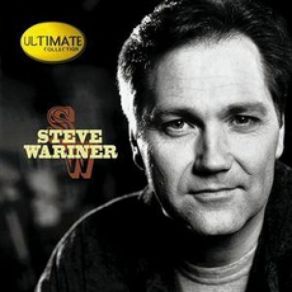 Download track Where Did I Go Wrong Steve Wariner