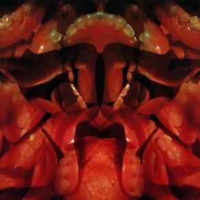 Download track The History Of Digital Music II (The Macintosh Computer - Pre-Midi) The Residents