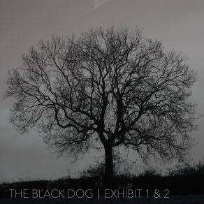 Download track Exhibit 2.1 The Black Dog