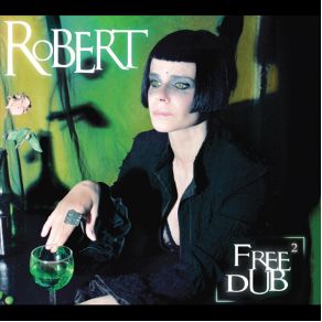 Download track Comme Je Te Plains (Acide A Faire) Robert Armani