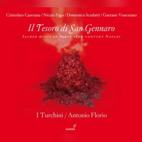 Download track Domenico Scarlatti: Sinfonia A 4 In D Major - II. Presto I Turchini, Antonio Florio