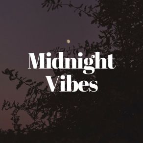 Download track A Nostalgic Wave Washes Over Me Lofi Beats For Work
