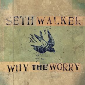 Download track I'm Getting Ready Seth Walker