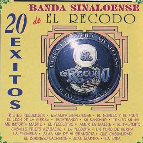 Download track El Borrego Cacheton Banda Sinaloense De El Recodo
