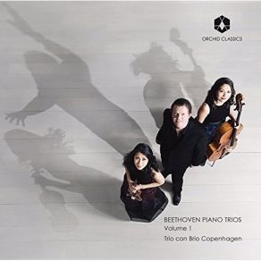 Download track 09.10 Variations On Ich Bin Der Schneider Kakadu In G Major, Op. 121a Piano Trio No. 11 Thema. Allegretto Ludwig Van Beethoven