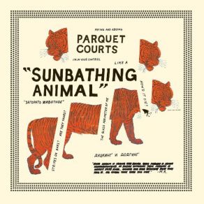 Download track What Color Is Blood Parquet Courts