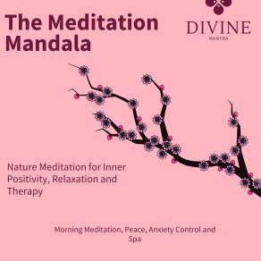 Download track Initial State Of Trance (Original Mix) Deep Dhayana MusicBuddha Meditation