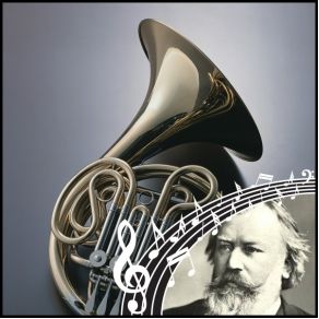 Download track Allegro Con Fuoco. Und Umgewaldet Seh' Ich Die Holde Johannes Brahms