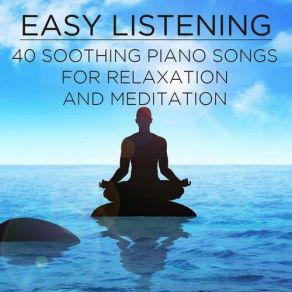 Download track Air On A G String Pianissimo Brothers