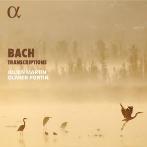 Download track 09. Violin Partita No. 2 In D Minor, BWV 1004 V. Chaconne (Transcr. For Recorder And Harpsichord By Pierre Gouin) Johann Sebastian Bach