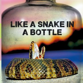 Download track Like A Snake In A Bottle LIKE A SNAKE IN A BOTTLE