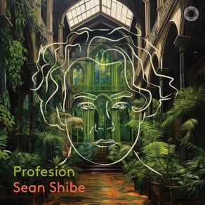 Download track 07 - 12 Studies, W235, A235 - No. 3, Allegro Moderato Sean Shibe
