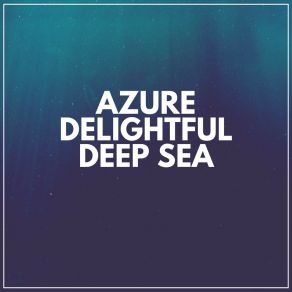Download track Collecting Shells Ocean Sound Machine