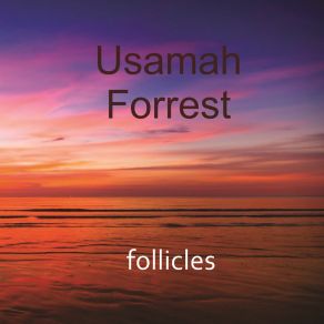 Download track Just Dropped In Usamah Forrest