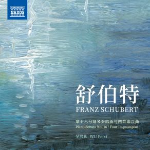 Download track Piano Sonata No. 16 In A Minor, Op. 42, D. 845: IV. Rondo. Allegro Vivace - Trio. Un Poco Più Lento Peixi Wu
