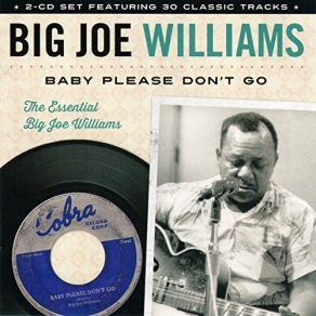Download track I Ain't Got Nobody Big Joe Williams