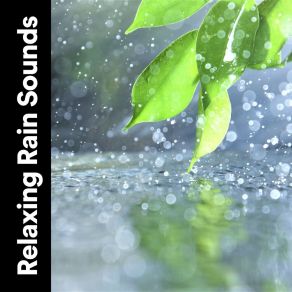 Download track I Hear You In The Rain Clear Mind Raining