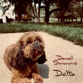 Download track Ain't Nothin' Wrong At All Daniel Simmons