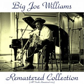 Download track Throw A Boogie Woogie (Remastered 2015) Big Joe Williams