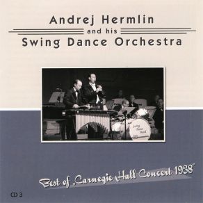 Download track I Got Rhythm His Swing Dance Orchestra, Andrej Hermlin